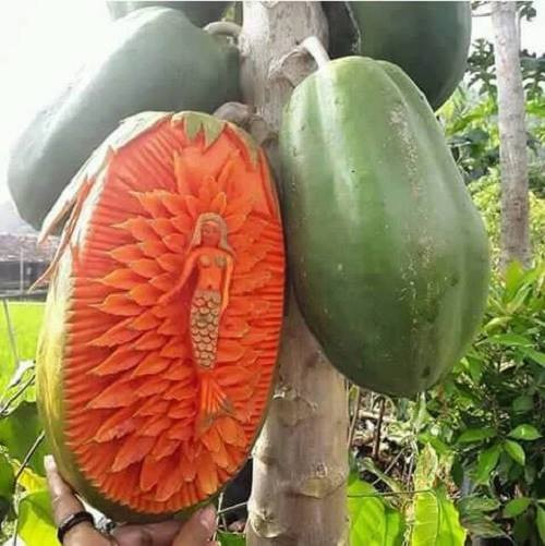 Nghệ thuật cắt tỉa.