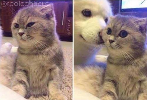 Liều thuốc cho trái tim.