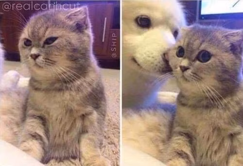 Liều thuốc cho trái tim.