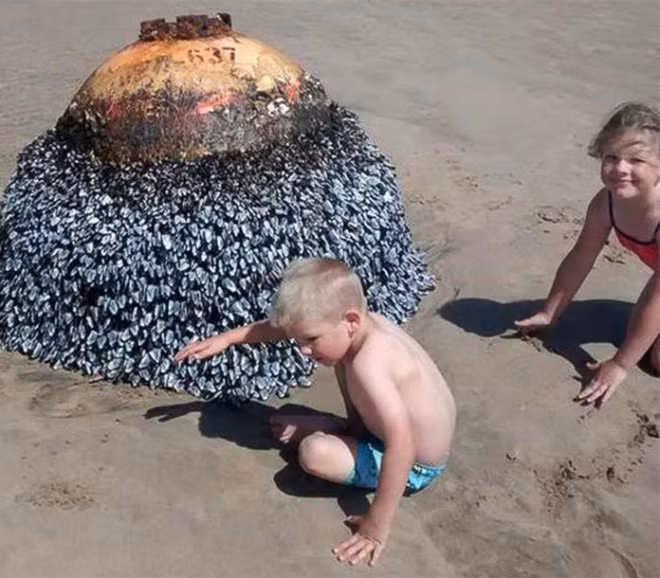 Chụp ảnh với vật thể kỳ lạ trên biển, vài ngày sau gia đình tá hỏa phát hiện sự thật rụng rời - Ảnh 2.