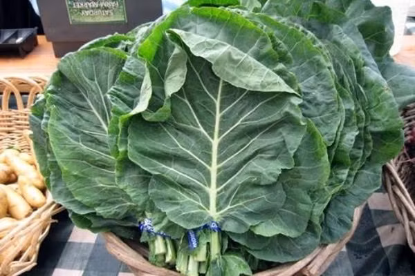 4 loại rau bố mẹ nên cho trẻ từ 3 – 10 tuổi ăn cật lực, cứ 1 năm tăng thêm 7 - 8cm