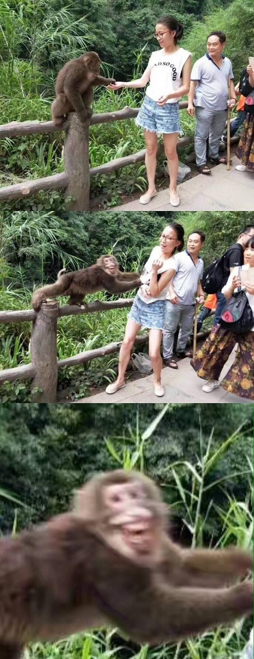 Lần đầu gặp gái xinh. Lần đầu gặp gái xinh.