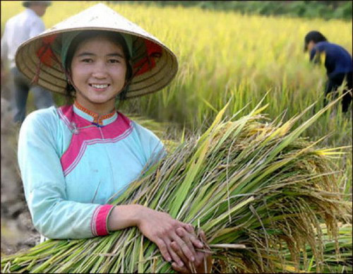 Ngày càng nhiều thành niên dân tộc phát triển thế mạnh quê hương để khởi nghiệp