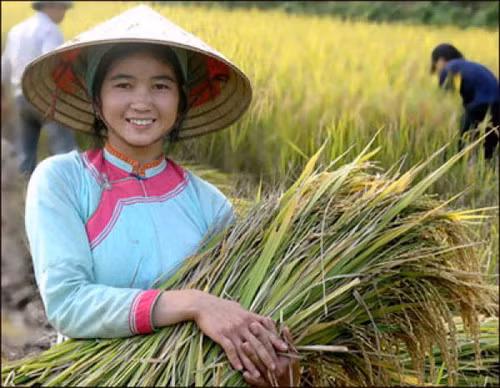 Ngày càng nhiều thành niên dân tộc phát triển thế mạnh quê hương để khởi nghiệp