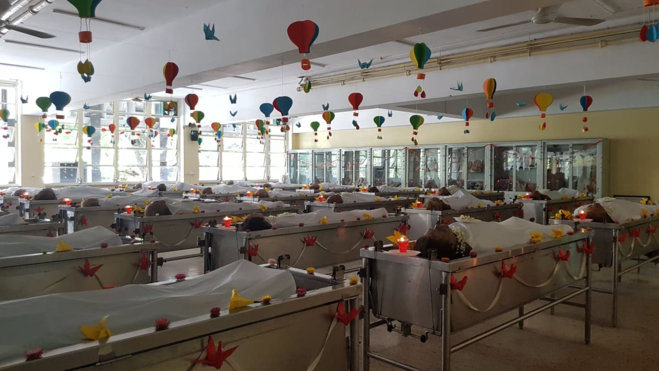 Các thi hài được đặt tại Khoa Giải phẫu bệnh, Đại học Y dược TP HCM. Ảnh: Lê Phương.