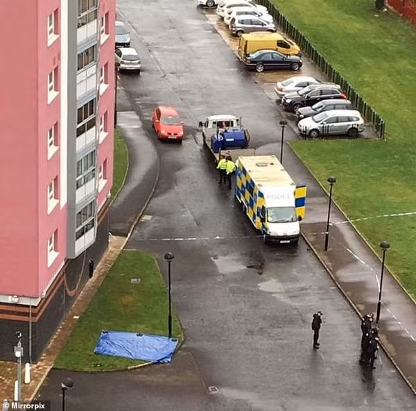 Nơi cô Alem rơi xuống và tử vong.