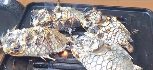 loai ca cung nhat the gioi, keo cat khong dut thi phai an kieu gi? - 5