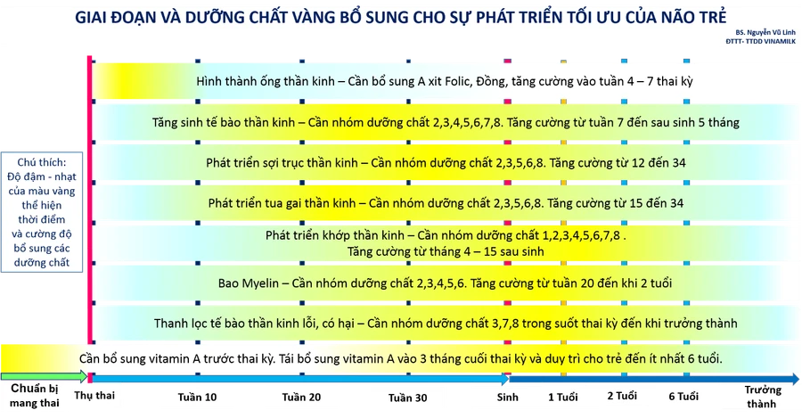 Dinh dưỡng vàng cho phát triển tối ưu não bộ trong những năm tháng đầu đời