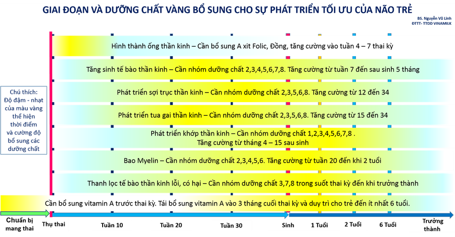 Dinh dưỡng vàng cho phát triển tối ưu não bộ trong những năm tháng đầu đời