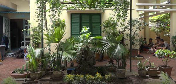 Bí mật về căn nhà “khủng” giữa lòng Hà Nội của ông Sơn “Về nhà đi con” ảnh 4 nga ngua voi bi mat dang sau can nha "khung" giua long hn cua ong son “ve nha di con” - 4