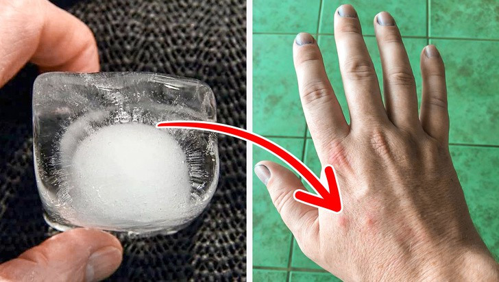 13282310-72627810-033d8b86341a7d6886ec1d6b803c2e7aa339abc5-1500-1-1559294512-728-b5e266c051-1560500239 13282310-72627810-033d8b86341a7d6886ec1d6b803c2e7aa339abc5-1500-1-1559294512-728-b5e266c051-1560500239