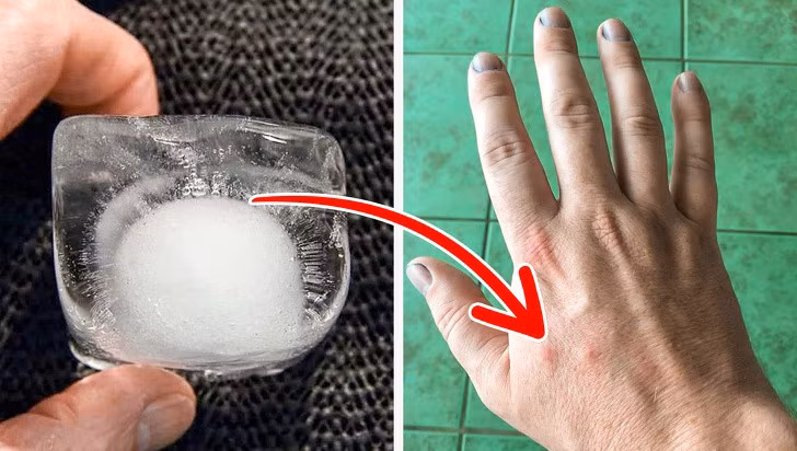 13282310-72627810-033d8b86341a7d6886ec1d6b803c2e7aa339abc5-1500-1-1559294512-728-b5e266c051-1560500239