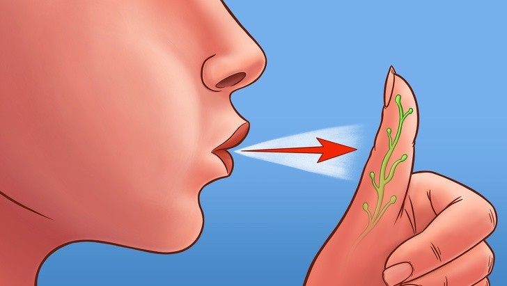 13283060-image-crop-3536x2000-1560438512-728-32e9147584-1560500239 13283060-image-crop-3536x2000-1560438512-728-32e9147584-1560500239