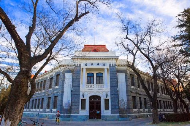 Điểm danh 10 đại học tốt nhất châu Á năm 2020 - 4