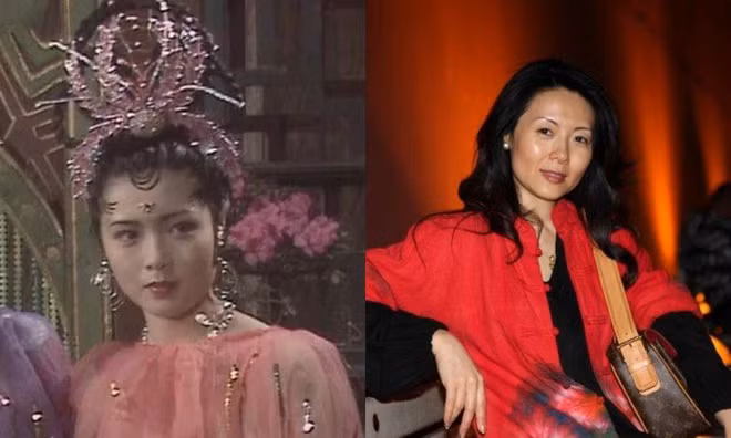 Dương Túc đột ngột tuyên bố từ bỏ sự nghiệp. 