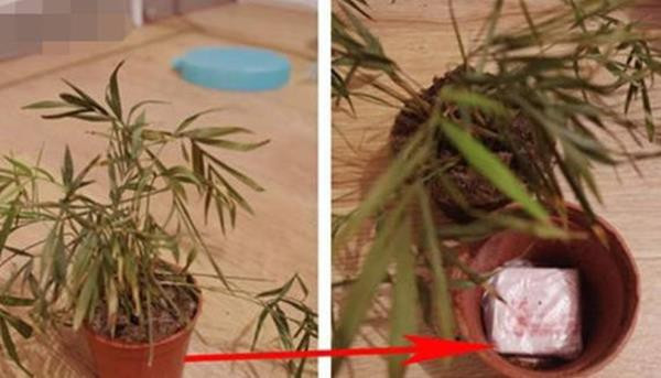 Trăm phương ngàn kế giấu quỹ đen đầy sáng tạo và hài hước của các ông chồng - Ảnh 5.