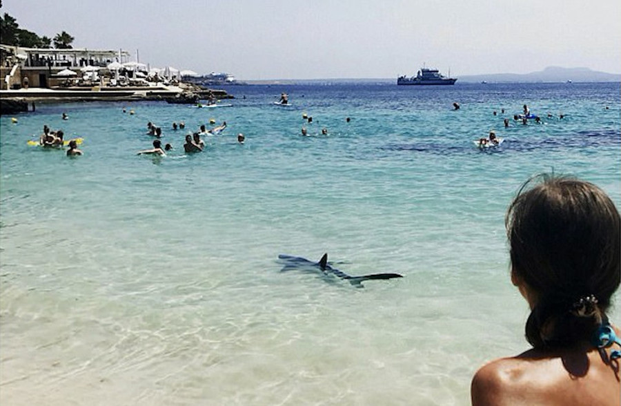 Reunion, Ấn Độ Dương: Những bãi biển tuyệt đẹp cùng làn nước trong vắt của hòn đảo thuộc Pháp ở Ấn Độ Dương này rất thu hút du khách, đặc biệt là những người đam mê lướt sóng. Thật không may, khu vực tập trung rất nhiều cá mập và đang giữ kỷ lục về số lần cá mập tấn công. Riêng trong năm 2017, đã có 3 cuộc tấn công ngay gần bãi biển và làm 2 người chết. 15 diem du lich hap dan nhung nguy hiem chet nguoi tren the gioi hinh anh 14