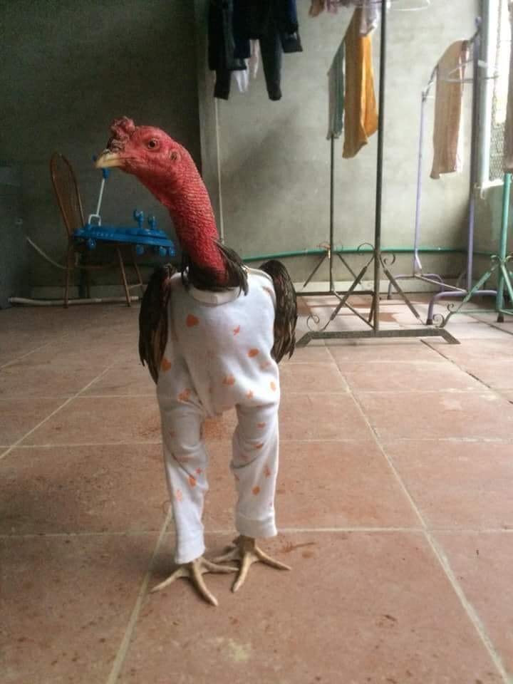 Không để em lạnh