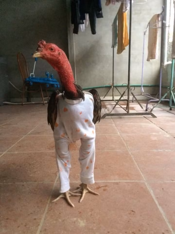 Không để em lạnh