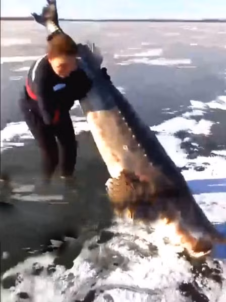 Vật thể khủng xuất hiện dưới băng, người dân tìm cách lôi lên bằng được-4