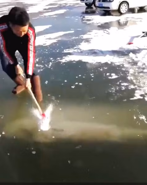 Vật thể khủng xuất hiện dưới băng, người dân tìm cách lôi lên bằng được-2