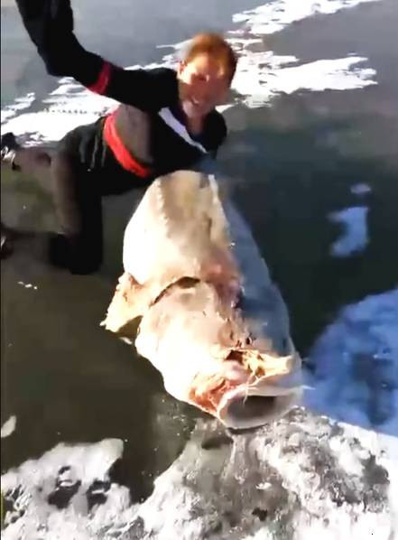 Vật thể khủng xuất hiện dưới băng, người dân tìm cách lôi lên bằng được - Ảnh 3. Vật thể khủng xuất hiện dưới băng, người dân tìm cách lôi lên bằng được-3