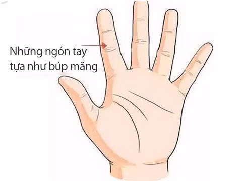 Phụ nữ sở hữu những tướng tay này là người tuyệt sắc giai nhân, cả đời phú quý 