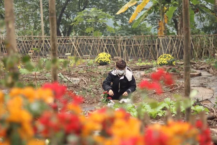 Không gian của dự án được bao phủ bởi hoa và rau xanh.