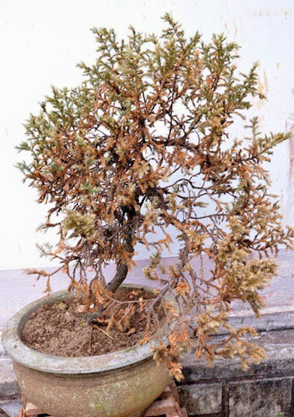 Ảnh người yêu cũ và 5 món đồ đại hung tuyệt đối không giữ lại trong nhà kẻo mang họa ảnh 2 anh nguoi yeu cu va 6 mon do dai hung tuyet doi khong giu lai trong nha keo mang hoa - 2