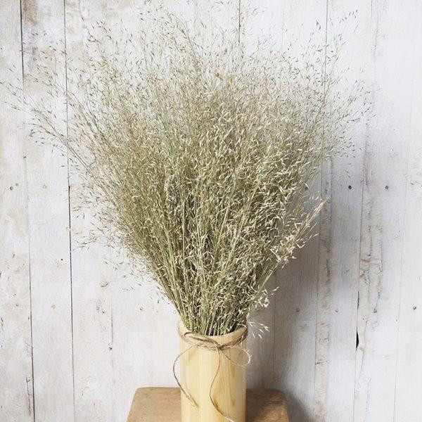 Ảnh người yêu cũ và 5 món đồ đại hung tuyệt đối không giữ lại trong nhà kẻo mang họa ảnh 1 anh nguoi yeu cu va 6 mon do dai hung tuyet doi khong giu lai trong nha keo mang hoa - 1