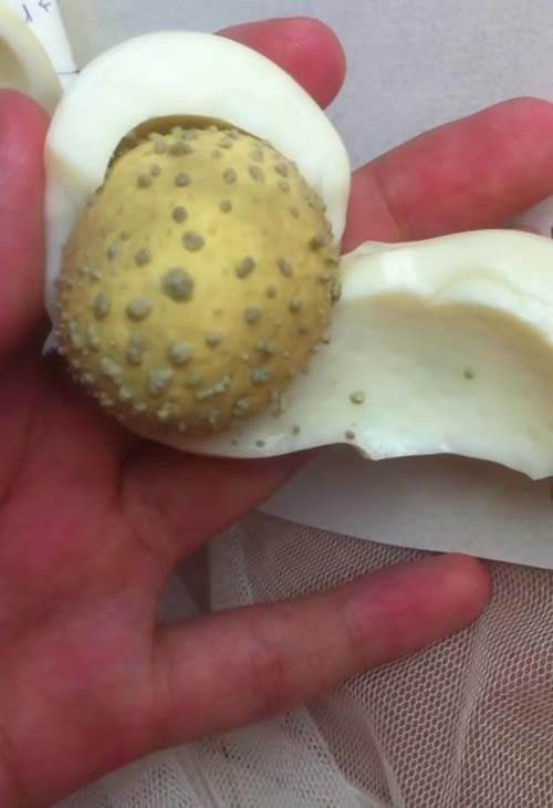 Luộc trứng gà, lăn qua lăn lại trên mặt và chờ xem điều bất ngờ xảy ra ảnh 5 luoc trung ga len, lan qua lan lai tren mat va cho xem dieu bat ngo gi xay ra - 5