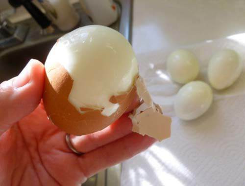 Luộc trứng gà, lăn qua lăn lại trên mặt và chờ xem điều bất ngờ xảy ra ảnh 4 luoc trung ga len, lan qua lan lai tren mat va cho xem dieu bat ngo gi xay ra - 4