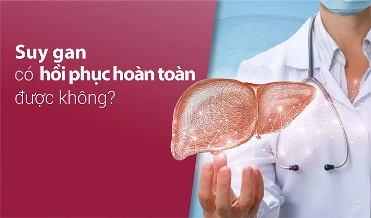 Suy gan có hồi phục được không là vấn đề nhiều người bệnh quan tâm.