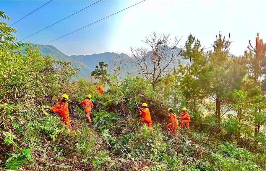 Điện lực Tân Uyên - PC lai Châu ra quân phát quang hành lang lưới điện.