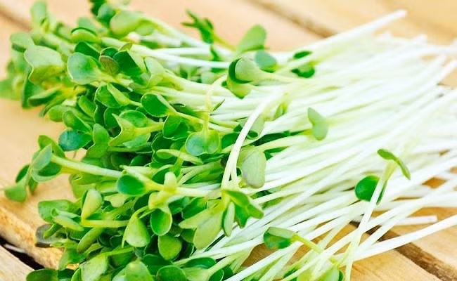 an kieu nay chet nhanh hon ung thu, nhieu nguoi viet van lam hang ngay - 3