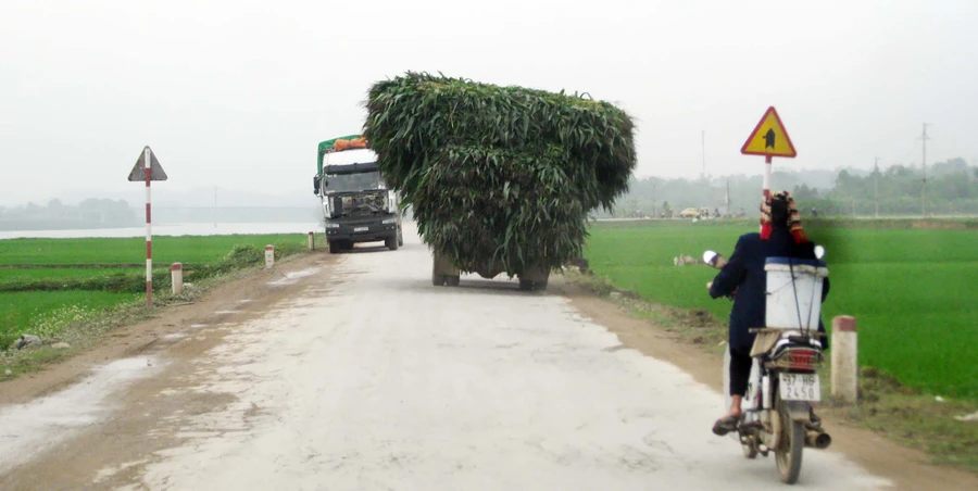 Những phương tiện tham gia giao thông nông thôn như chỗ không người