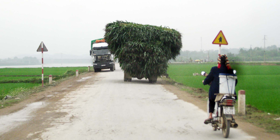 Những phương tiện tham gia giao thông nông thôn như chỗ không người