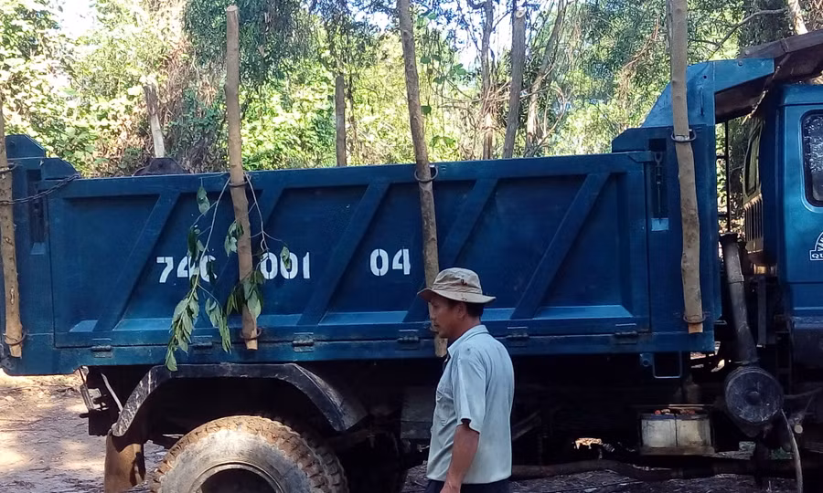 Xe vào tận giữa rừng chở gỗ rừng trồng Xe vào tận giữa rừng chở gỗ rừng trồng