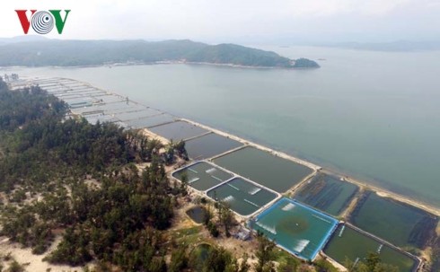 giải quyết dứt điểm tình trạng lấn chiếm trái phép trên đầm ô loan hình 1 giai quyet dut diem tinh trang lan chiem trai phep tren dam o loan hinh 1