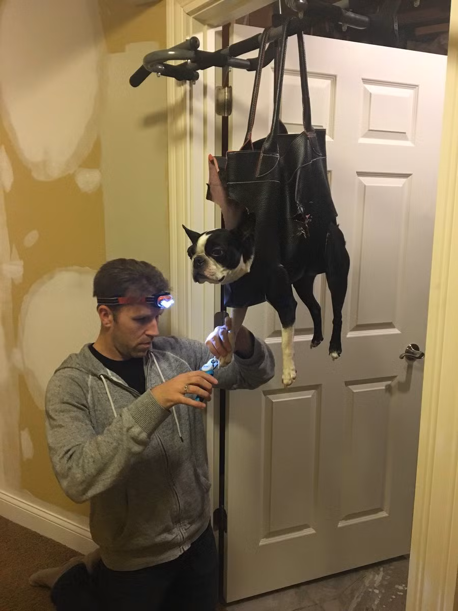 nhung pha hack nao ban khong the ngo toi hinh anh 1