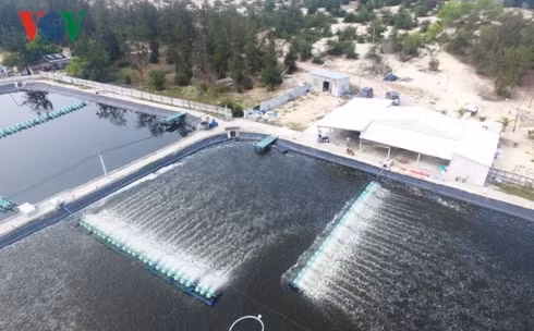 giải quyết dứt điểm tình trạng lấn chiếm trái phép trên đầm ô loan hình 2 giai quyet dut diem tinh trang lan chiem trai phep tren dam o loan hinh 2