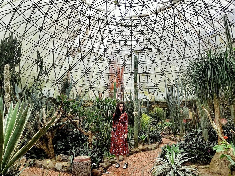 Gợi ý điểm du lịch vừa vui vừa đẹp dịp 8/3 gần Hà Nội, có thể đi về trong ngày goi y diem du lich 83 co the di va ve trong ngay gan ha noi