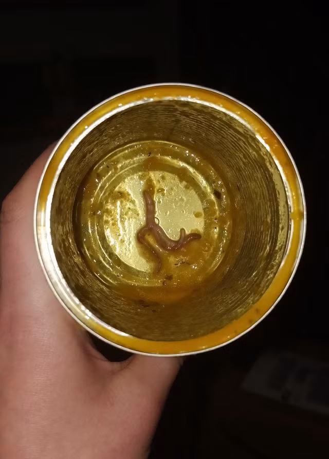 Ăn hết hộp súp mới thấy xác giun ở bên trong - 1