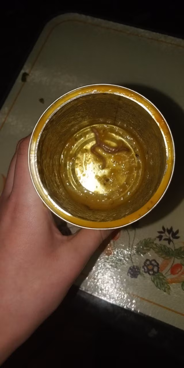 Ăn hết hộp súp mới thấy xác giun ở bên trong - 3