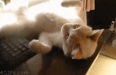 Những cách chữa thẹn “siêu cool” khi gặp phải tình huống trớ trêu ảnh 11