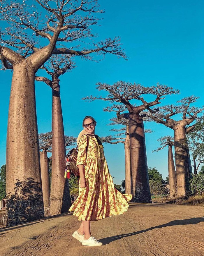 Kỳ lạ đại lộ "cây lộn ngược" như đường dẫn tới hành tinh khác ảnh 5