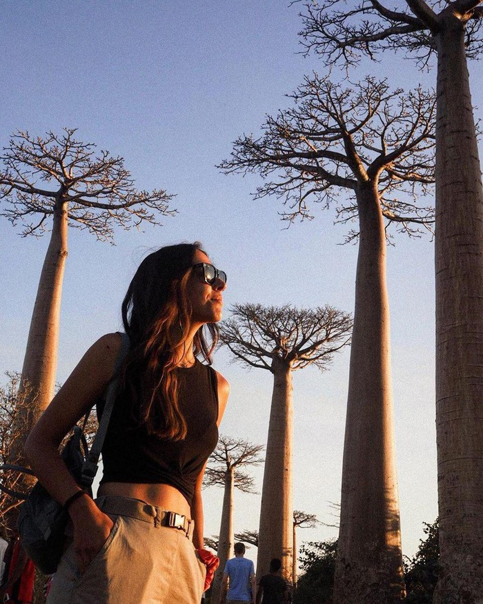 Kỳ lạ đại lộ "cây lộn ngược" như đường dẫn tới hành tinh khác ảnh 7