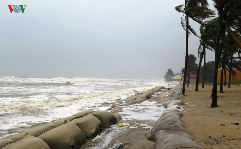 hoi an cam cac hoat dong da ngoai o con cat cua dai hinh 2