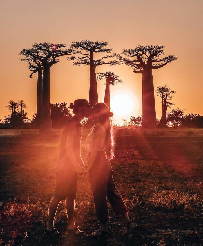 Kỳ lạ đại lộ "cây lộn ngược" như đường dẫn tới hành tinh khác ảnh 13