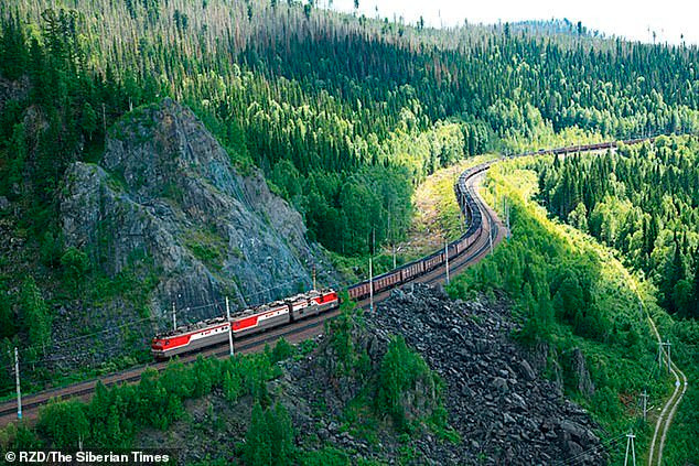 Maru đi dọc theo đường ray để trở về nhà cũ Bị ruồng bỏ, chú chó trung thành vừa đi vừa khóc 200km tìm về nhà cũ